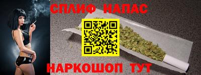СК Балашиха