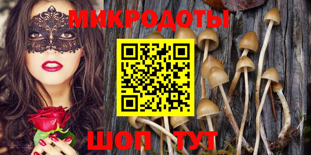 Псилоцибиновые грибы мицелий Белая Калитва