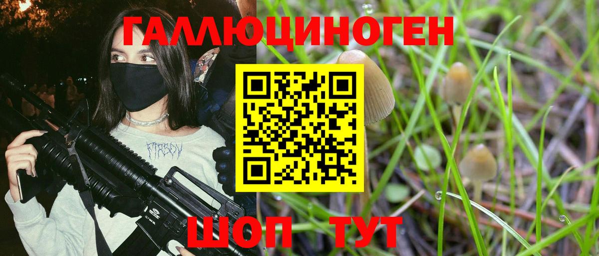 наркошоп  Галлюциногенные грибы мухоморы  Белая Калитва  Галлюциногенные грибы Psilocybine cubensis 